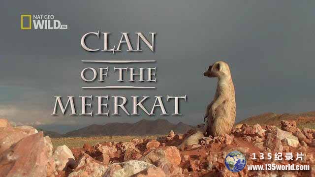 Clan-Of-The-Meerkat.jpg