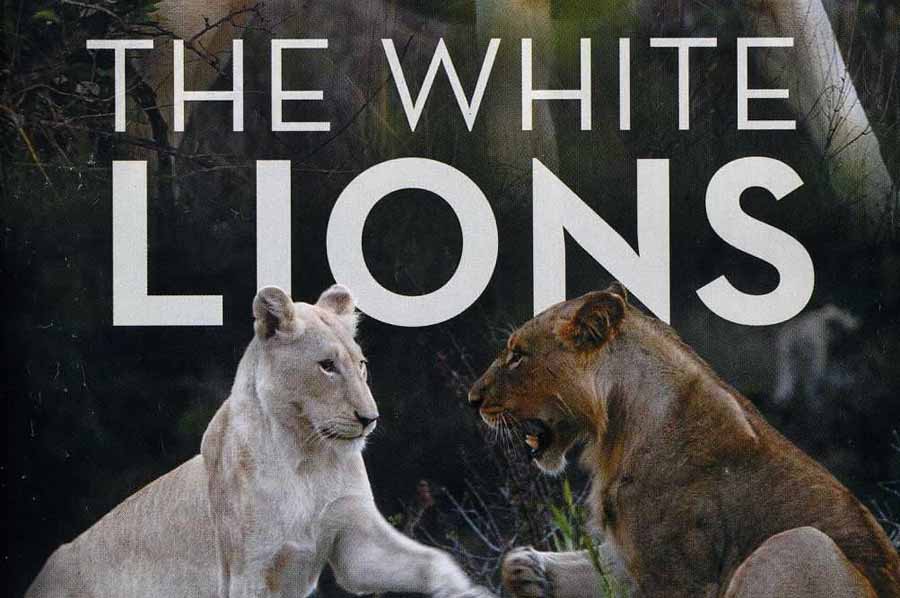 The-White-Lions.jpg