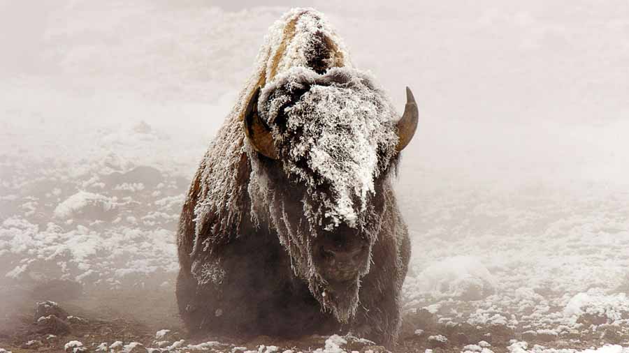 Epic-Yellowstone.jpg
