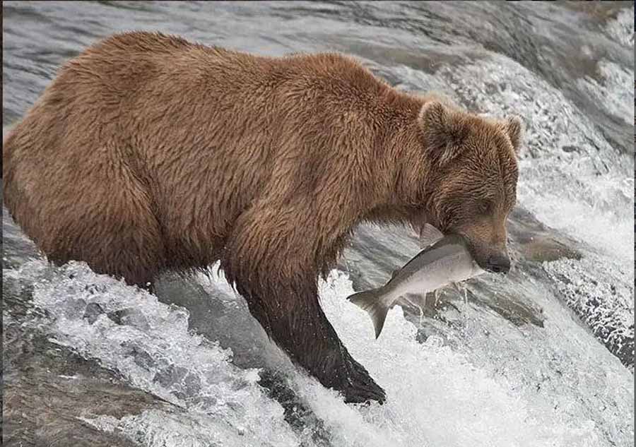 Katmai.jpg