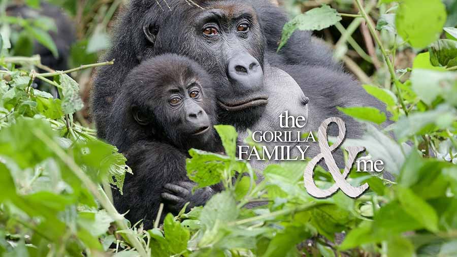 Gorilla-Family-and-Me.jpg