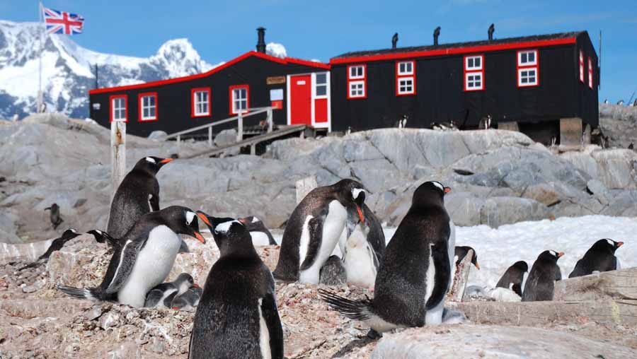 penguin-post-office.jpg