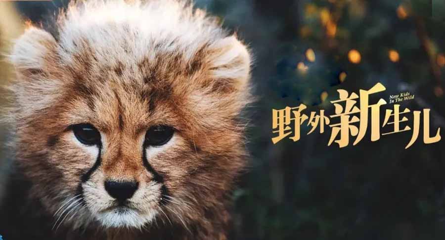 New-Kids-In-The-Wild-S1.jpg