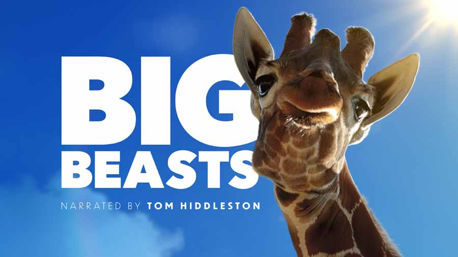 Big-Beasts.jpg