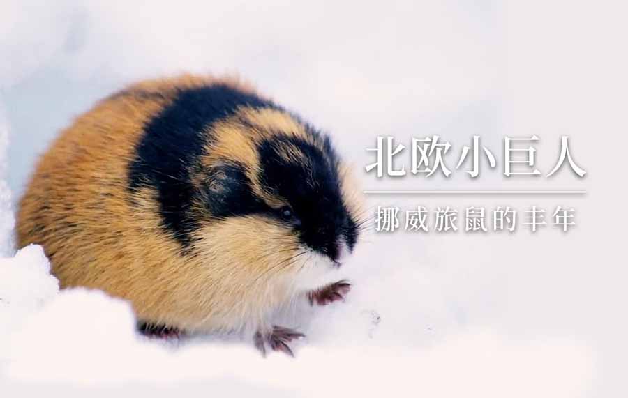 LV-SHU.jpg