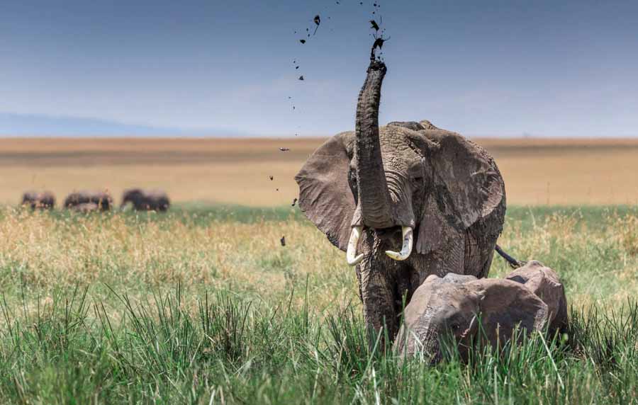 Wonders-of-Africa.jpg