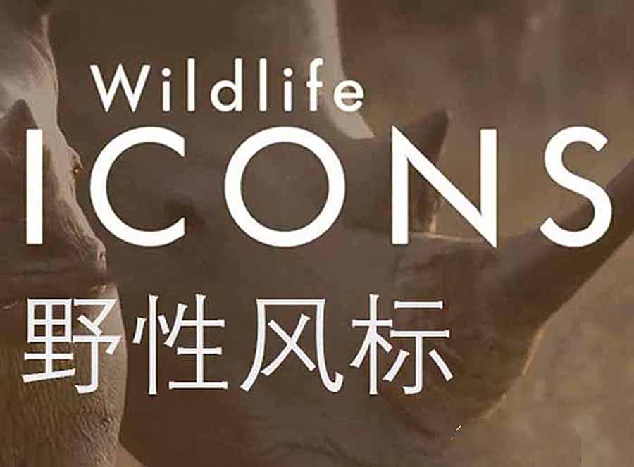 Wild-Life-Icons-S01.jpg