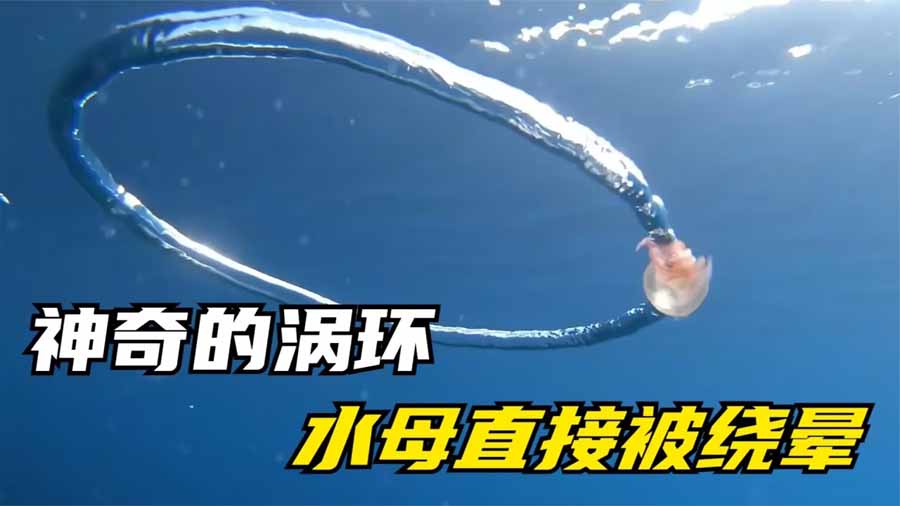 SHUI-MU-WO-HUAN.jpg