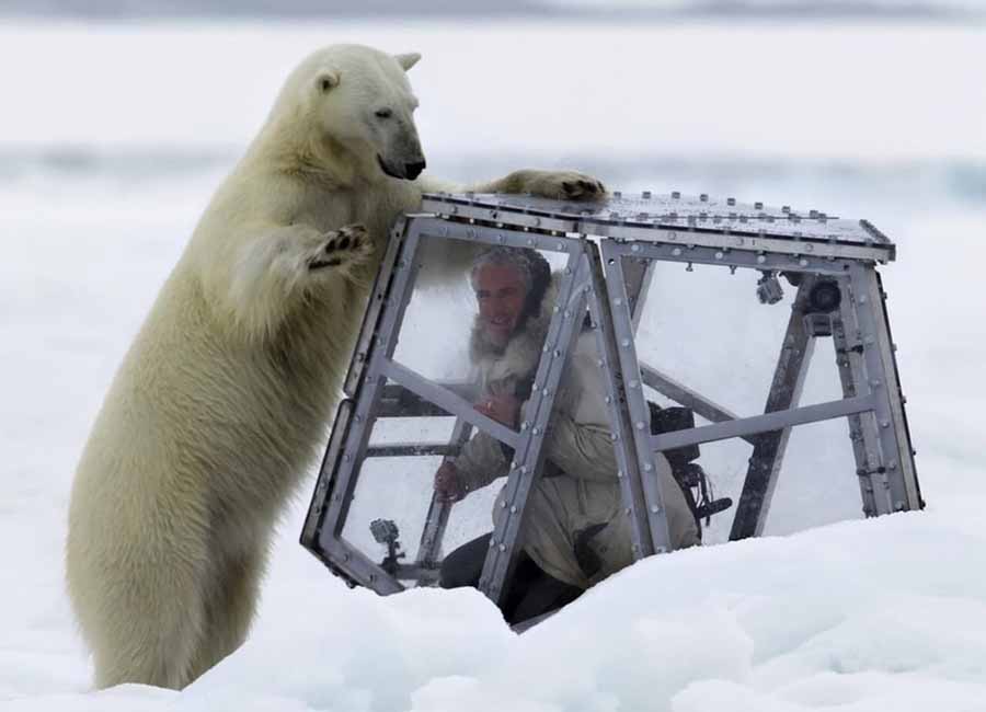 The-Polar-Bear-Family-Me.jpg