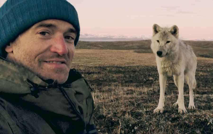 The-Snow-Wolf-Family-Me.jpg