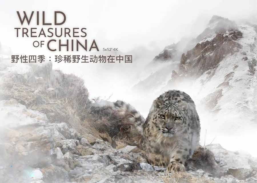 Wild-Treasure-of-China.jpg