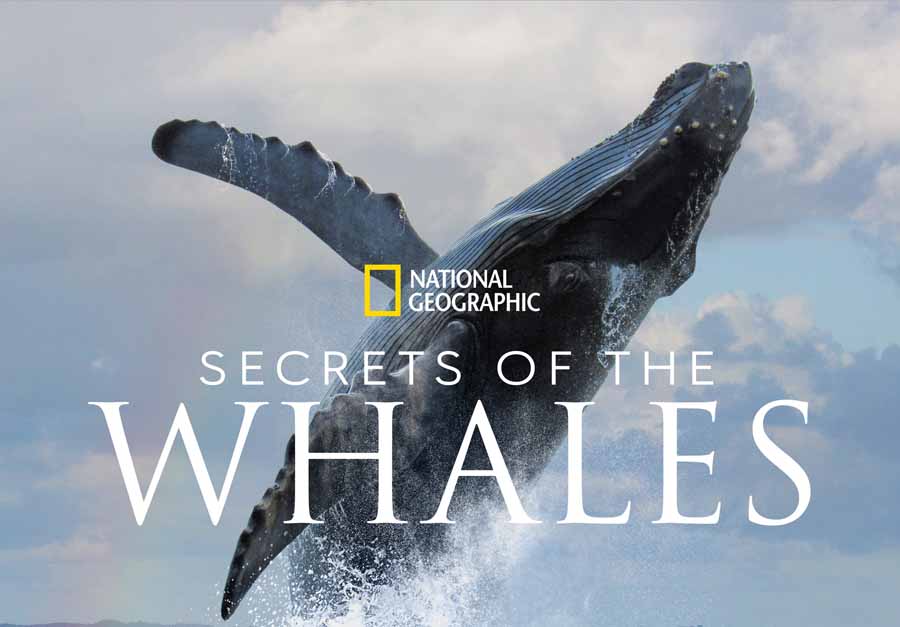 Secrets-of-the-Whales-1.jpg