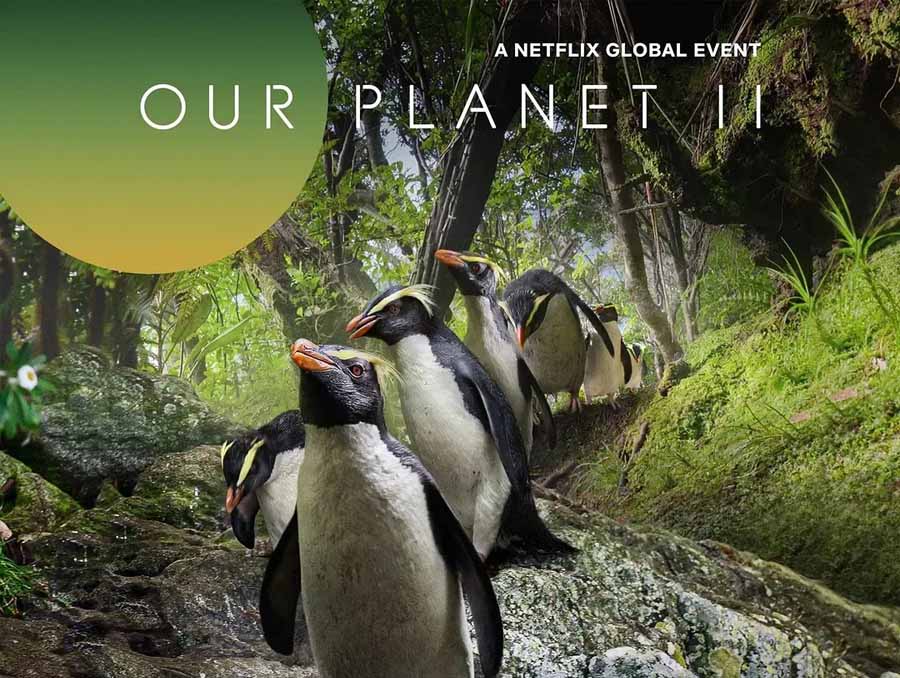 Our-Planet-II.jpg
