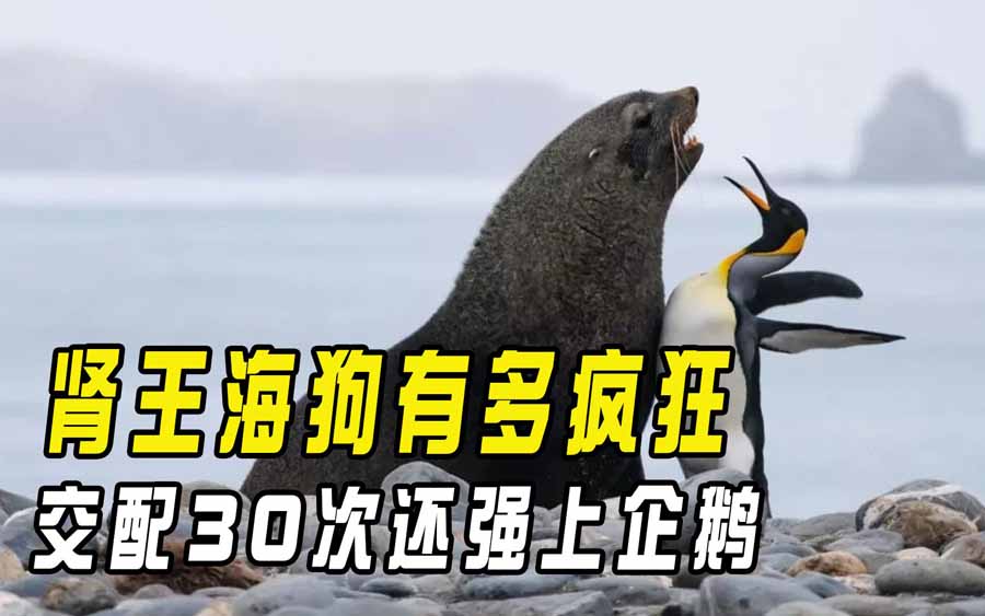 SHENG-WANG.jpg