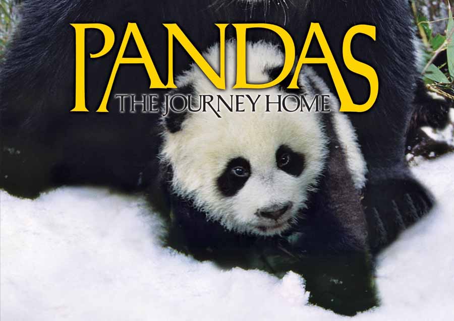 Pandas-The-Journey-Home.jpg