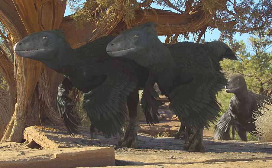 KONG-ZHUALONG.jpg
