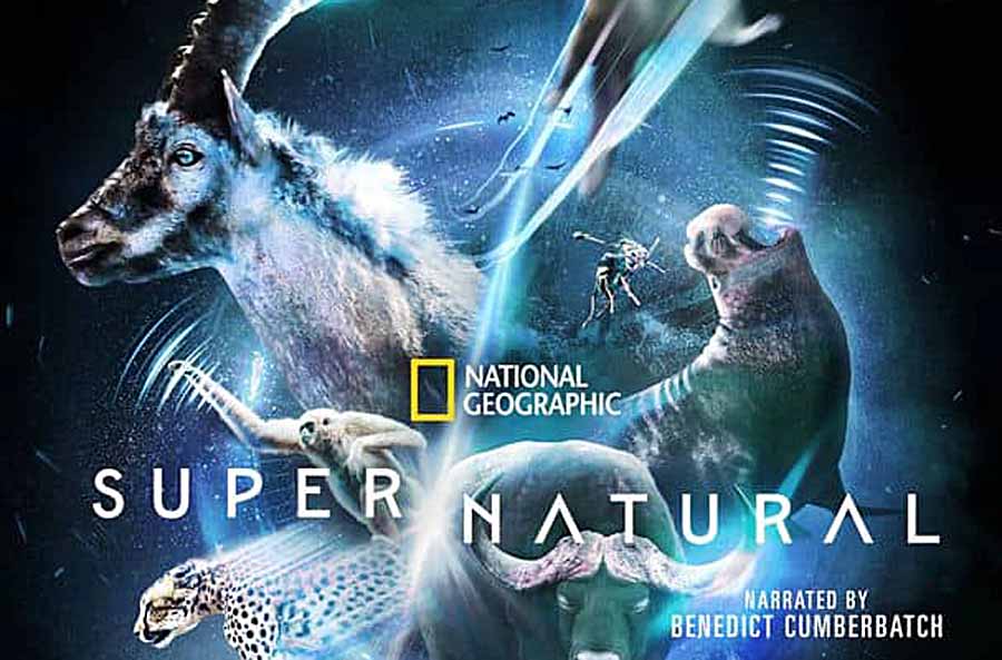 Super-Natural-2022.jpg