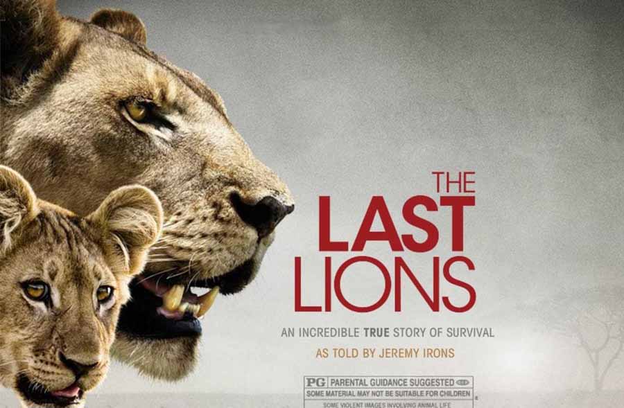 The-Last-Lions.jpg