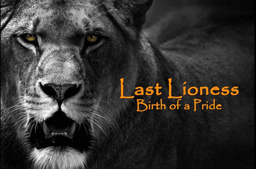 Last-Lioness-Birth-of-a-Pride.jpg