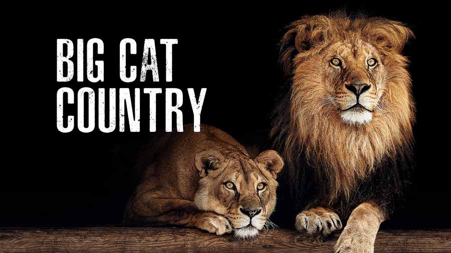 Big-Cat-Country.jpg