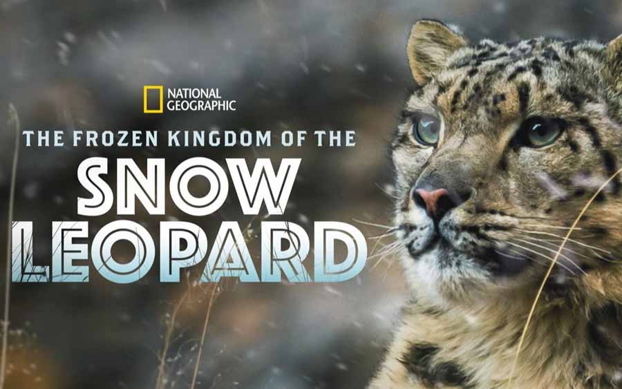 The-Frozen-Kingdom-Of-The-Snow-Leopard.jpg