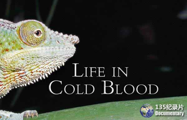 Life-In-The-Cold-Blood0911.jpg