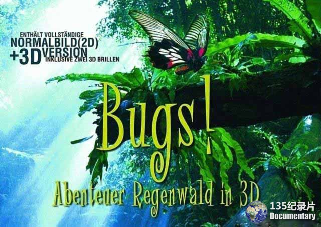 bugs41.jpg