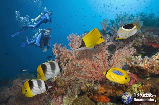 Great-Barrier-Reef-101.jpg