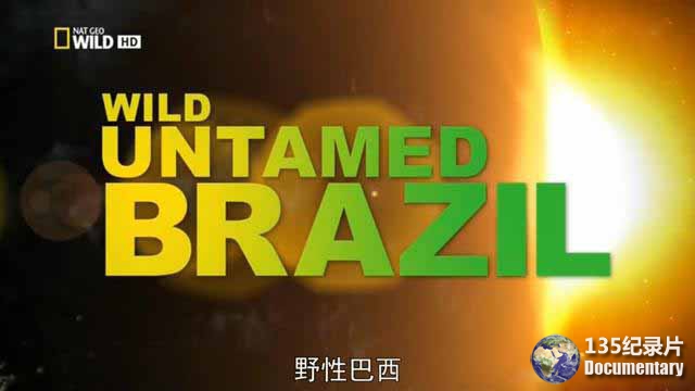 Wild-Untamed-Brazil-131.jpg