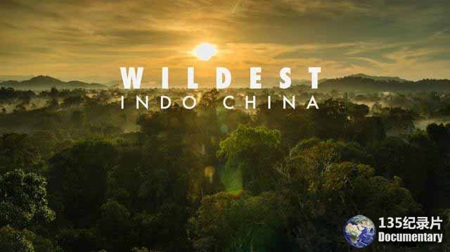 Wildest-Indochina-071.jpg