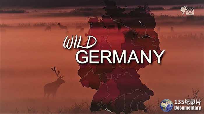 Germany205.jpg