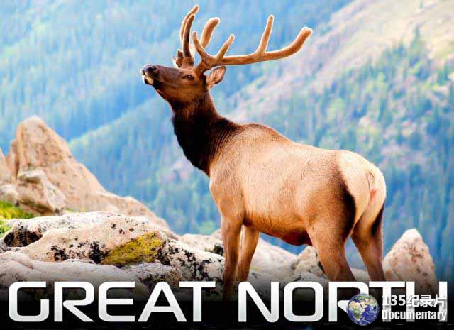imax-great-north1.jpg