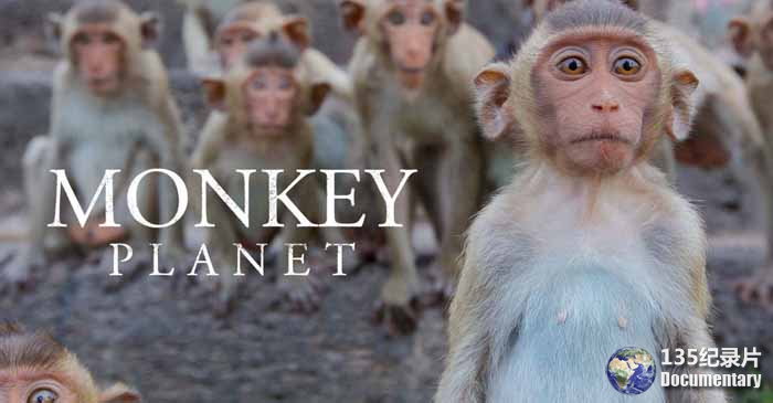 monkey-planet.jpg