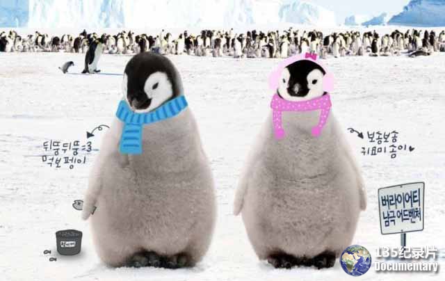 Tears-of-the-Antarctic1.jpg