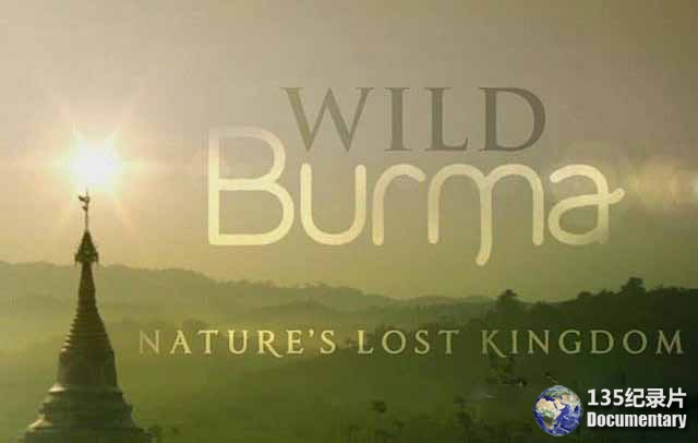 Wild-Burma071.jpg