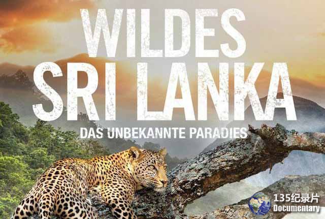 Wild-Sri-lanka021.jpg