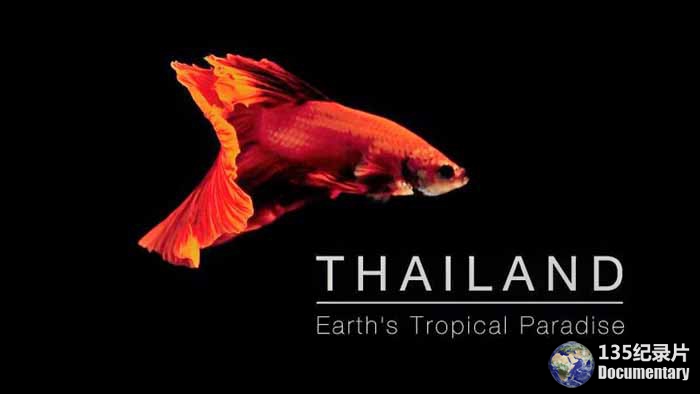 Thailand204.jpg