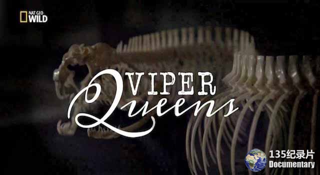Viper-Queens.jpg