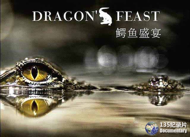 Dragon-Feast.jpg