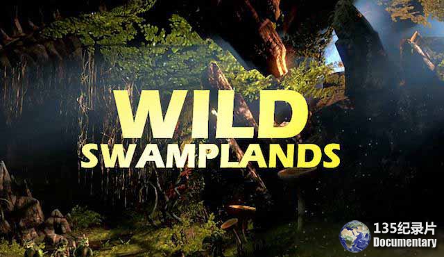 Wild-Swamplands2.jpg