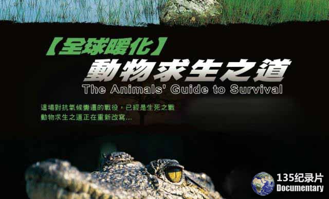 Guide-to-Survival-5.jpg