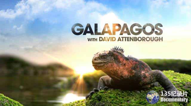 Galapagos-8.jpg