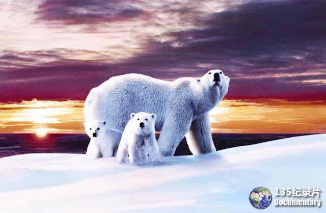 The-White-Planet.jpg