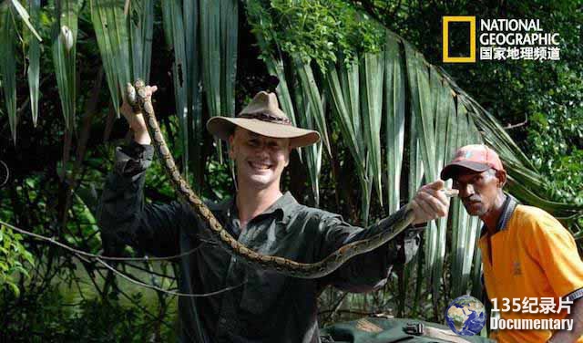 Asias-Deadliest-Snakes-1.jpg