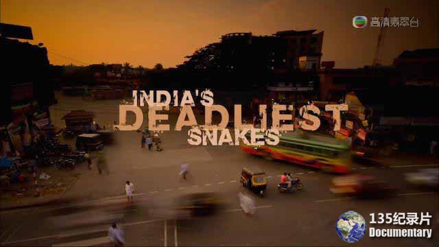 Indias-Deadliest-Snakes.jpg