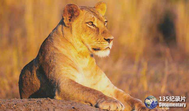 Gorongosa-Park.jpg
