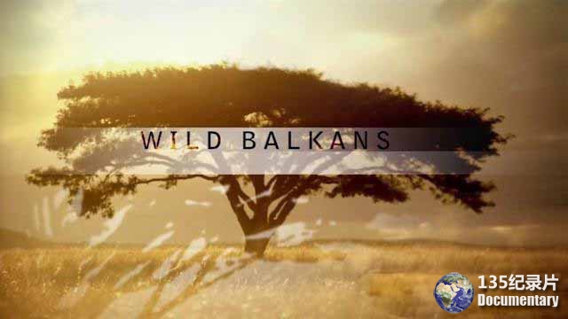Nature-Wild-Balkans.jpg