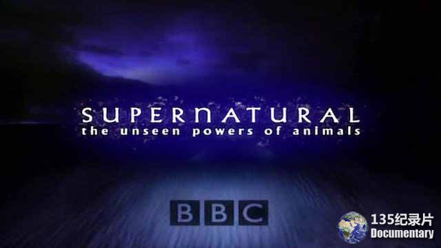 Supernatural.jpg