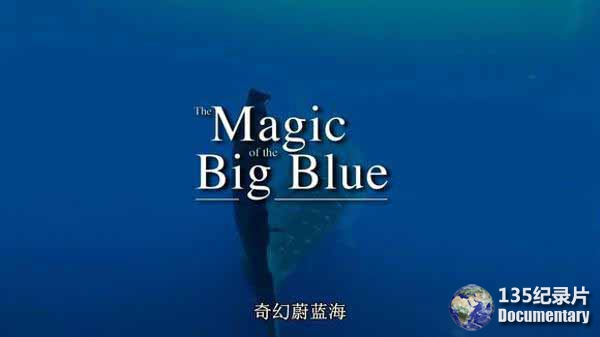 bigblue2.jpg
