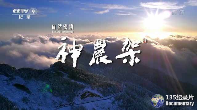 shennongjia.jpg